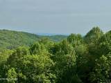 1102 Ski View Drive - Photo 3