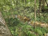 0 Whitfield Hollow Road - Photo 14