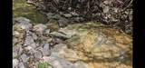 0 Whitfield Hollow Road - Photo 17