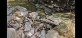 0 Whitfield Hollow Road - Photo 18
