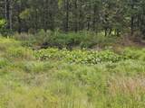 0 Whitfield Hollow Road - Photo 7