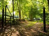 1130 Maple Valley Rd - Photo 41