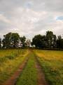 1130 Maple Valley Rd - Photo 43