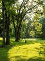1130 Maple Valley Rd - Photo 78