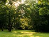 1130 Maple Valley Rd - Photo 79