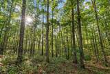 6065 Spencer Rd - Photo 12