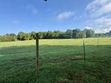 5242 Lunns Store Rd - Photo 38