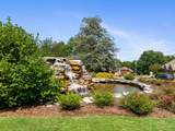 408 Telavera Dr - Photo 66