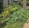 6680 Charlotte Pike - Photo 20