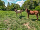 2733 Shipe Rd - Photo 1