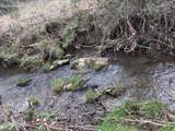 2733 Shipe Rd - Photo 3