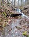 2280 Big Opossum Creek Rd - Photo 11