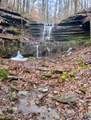 2280 Big Opossum Creek Rd - Photo 10
