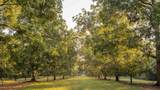 6604 Pine Island Road - Photo 20