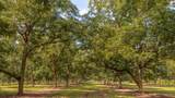 6604 Pine Island Road - Photo 22