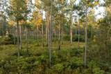 6604 Pine Island Road - Photo 46