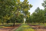 6604 Pine Island Road - Photo 84