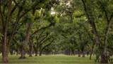 175 Pecan Road - Photo 2
