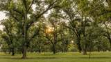 175 Pecan Road - Photo 11