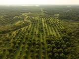 175 Pecan Road - Photo 13