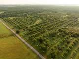 175 Pecan Road - Photo 16