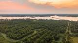 175 Pecan Road - Photo 40