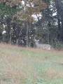 1478 Marble Hill Rd - Photo 51