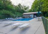 1081 Cove Road - Photo 33