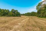 2313 Little Bartons Creek Rd - Photo 38