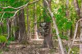 2313 Little Bartons Creek Rd - Photo 40