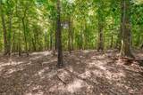 2313 Little Bartons Creek Rd - Photo 42