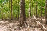 2313 Little Bartons Creek Rd - Photo 45