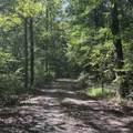 1336 Big Tom Rd - Photo 25