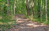 1050 Blue Springs Road - Photo 49
