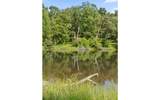 1050 Blue Springs Road - Photo 50