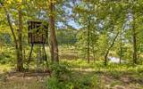 1050 Blue Springs Road - Photo 52