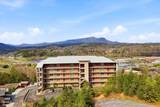 410 Big Bear Way - Photo 29