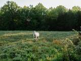 1647 Groveland Ridge Rd - Photo 3
