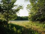 1647 Groveland Ridge Rd - Photo 33