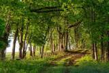 1647 Groveland Ridge Rd - Photo 41