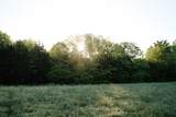 1647 Groveland Ridge Rd - Photo 42