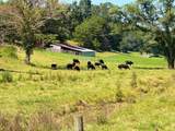 710 Donley Rd - Photo 15