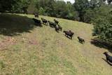 710 Donley Rd - Photo 53