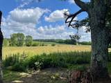 15042 Owens Chapel Rd - Photo 9