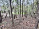4424 Lane Spring Rd - Photo 25