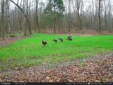 4424 Lane Spring Rd - Photo 29