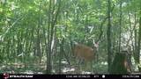 4424 Lane Spring Rd - Photo 9