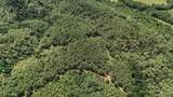 0 Big Opossum Rd - Photo 12