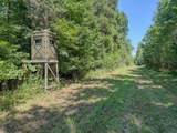 2195 Whiteoak Rd - Photo 31