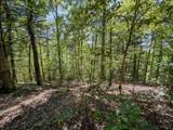 2195 Whiteoak Rd - Photo 39
